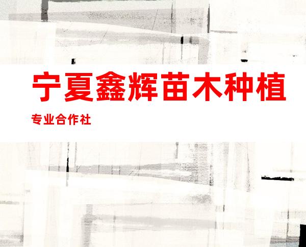 宁夏鑫辉苗木种植专业合作社